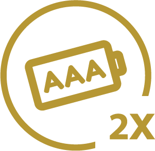 icono detalle técnico