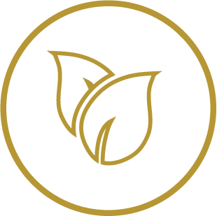 icono detalle técnico