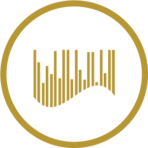 icono detalle técnico