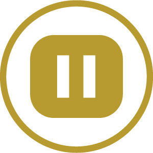 icono detalle técnico