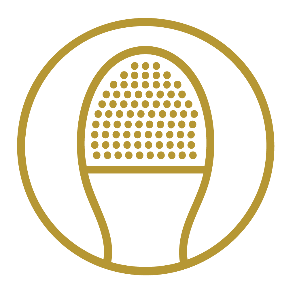 icono detalle técnico