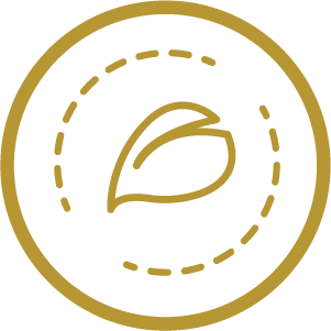 icono detalle técnico