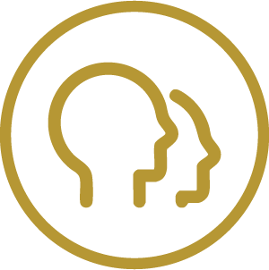 icono detalle técnico