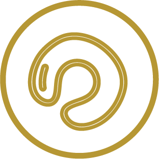 icono detalle técnico